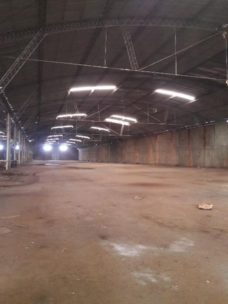 Depósito-Galpão, 6000 m² - Foto 15