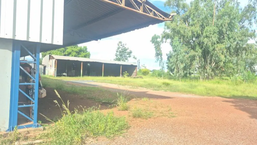 Depósito-Galpão, 5900 m² - Foto 15