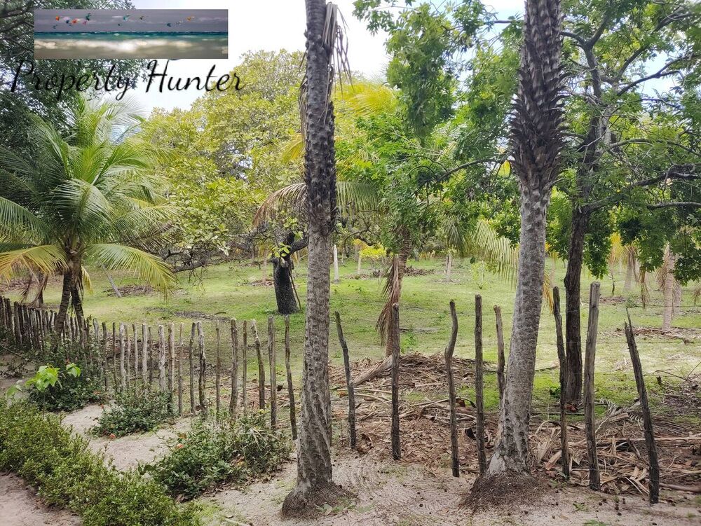 Terreno, 1 hectares - Foto 4