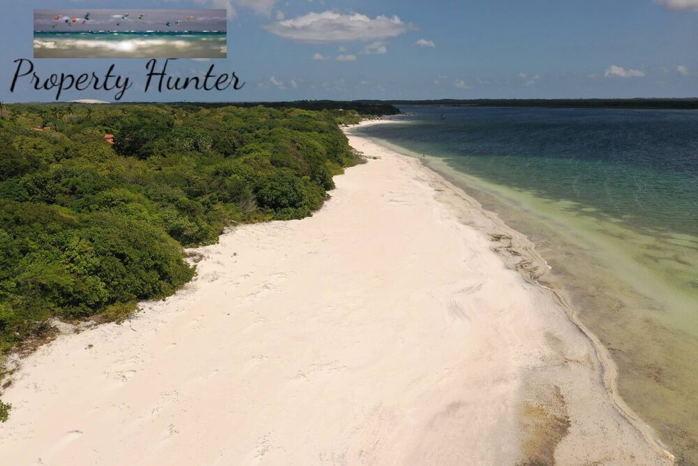 Terreno, 1 hectares - Foto 3