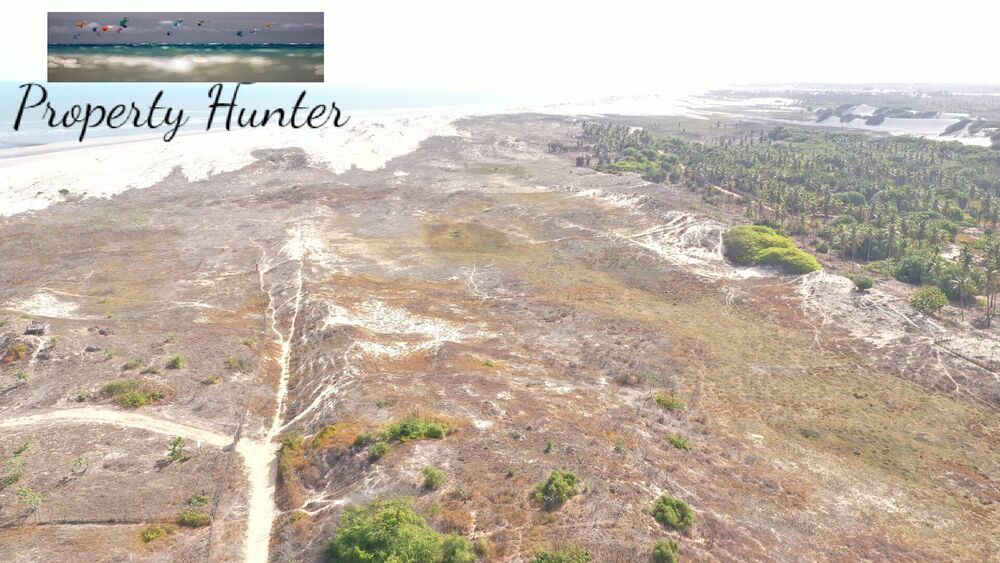 Terreno, 2000 m² - Foto 13