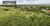 Terreno, 2000 m² - Foto 5