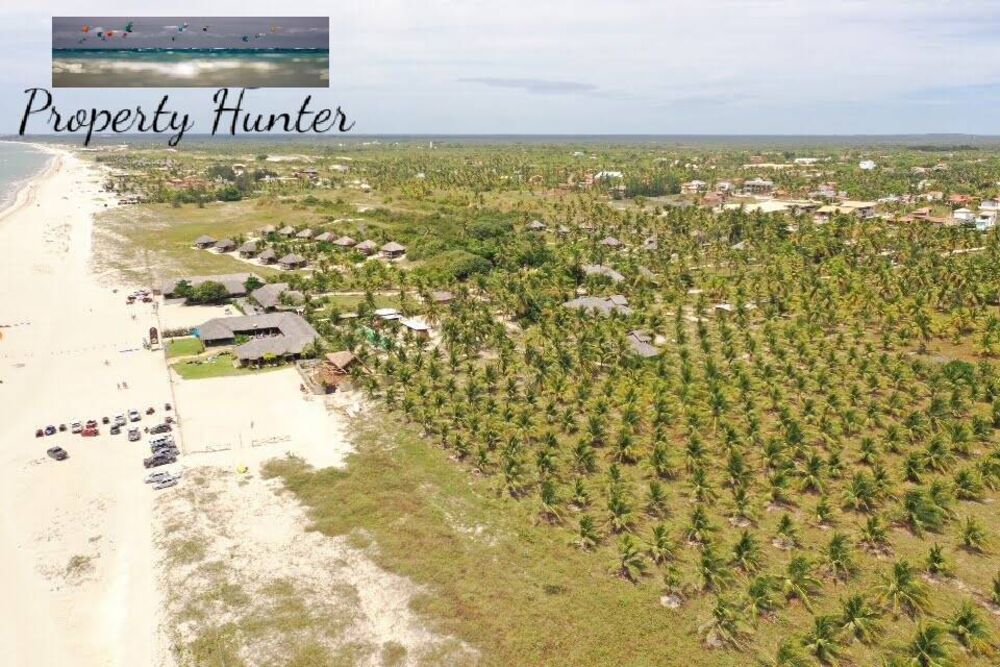 Terreno à venda, 13000m² - Foto 4