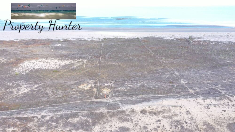 Terreno, 5000 m² - Foto 4