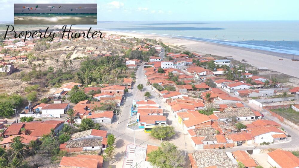 Terreno, 5000 m² - Foto 3