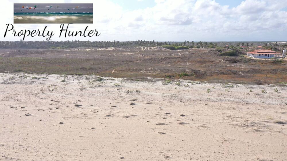 Terreno, 5000 m² - Foto 28