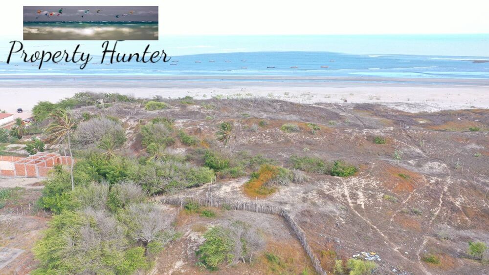 Terreno, 5000 m² - Foto 12