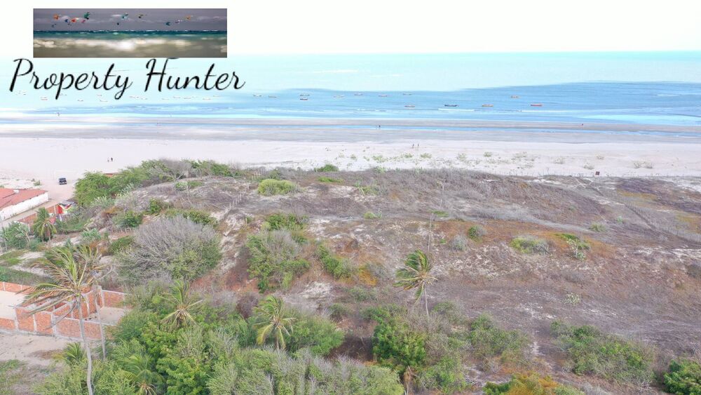 Terreno, 5000 m² - Foto 10