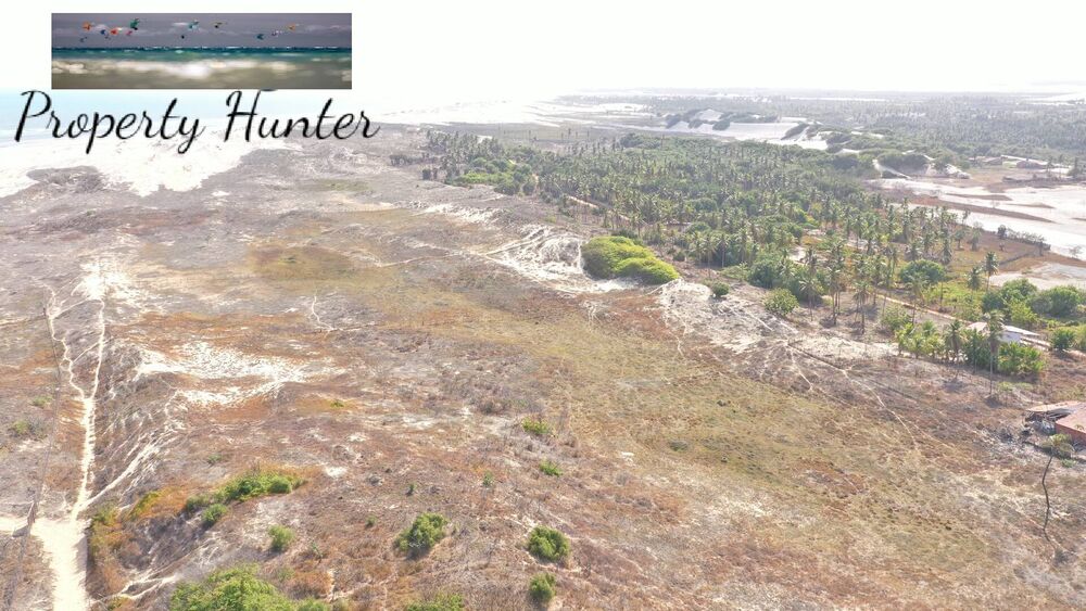 Terreno, 5000 m² - Foto 16