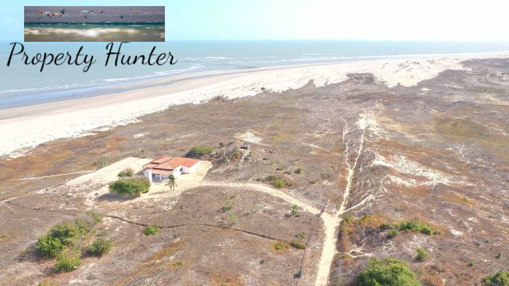 Terreno, 5000 m² - Foto 1