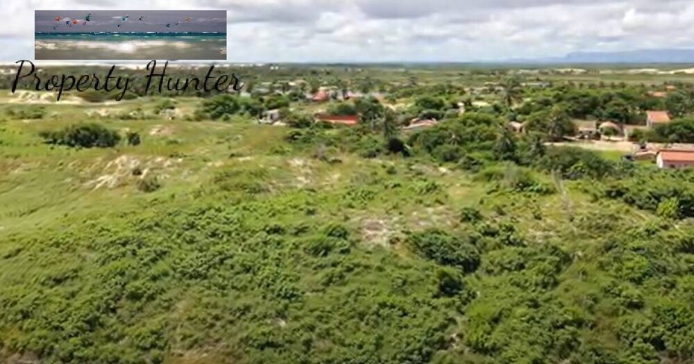 Terreno, 5000 m² - Foto 7