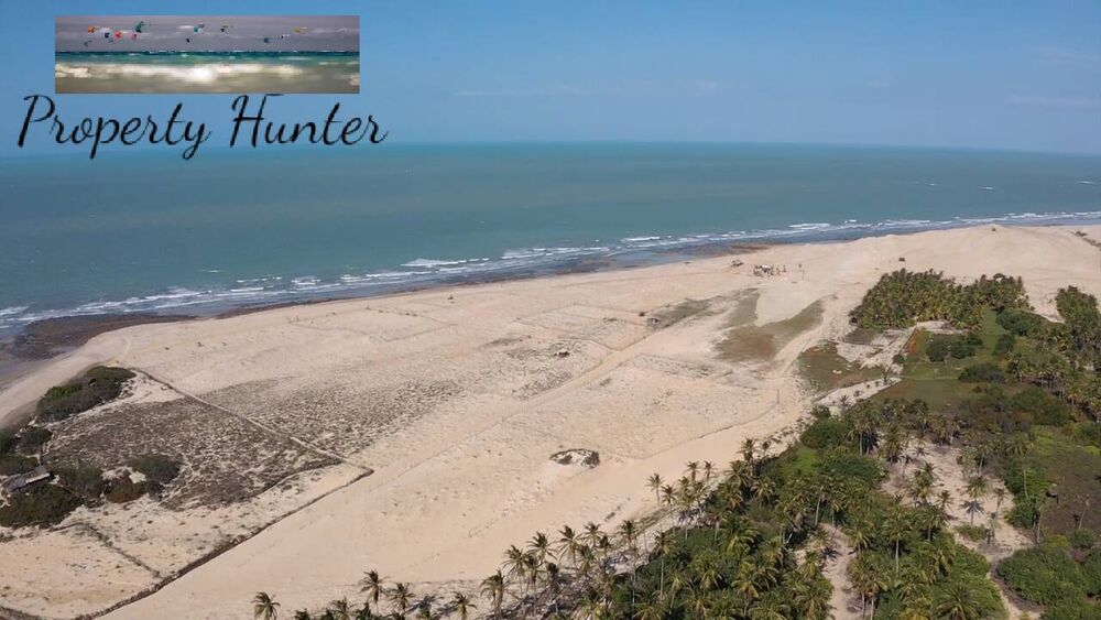 Terreno, 3000 m² - Foto 3