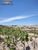 Terreno, 6150 m² - Foto 5