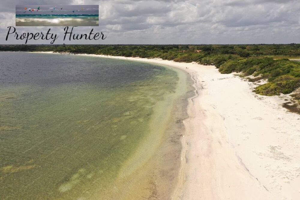 Terreno, 1360 m² - Foto 4