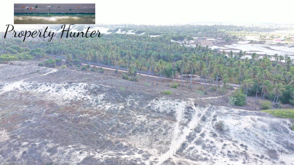 Terreno, 1000 m² - Foto 4