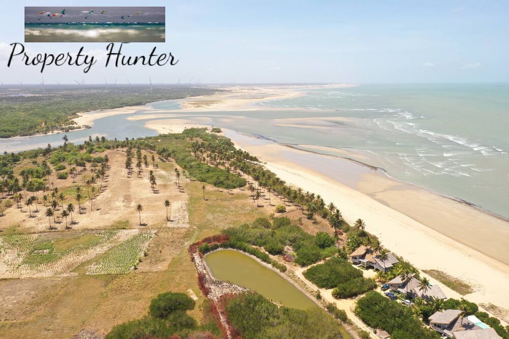 Terreno, 6300 m² - Foto 11