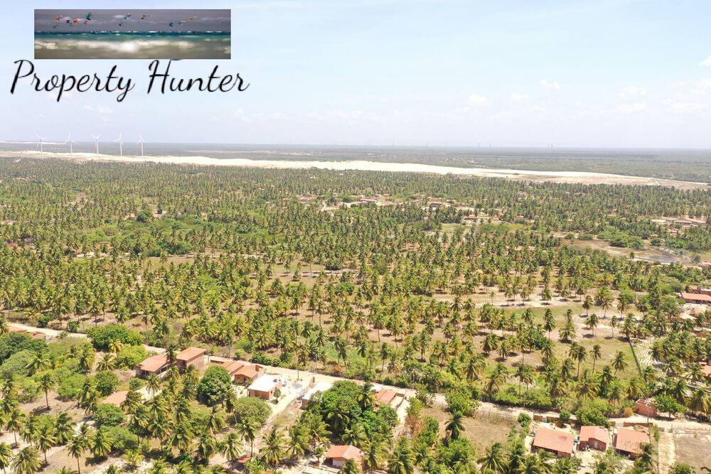 Terreno, 6300 m² - Foto 7