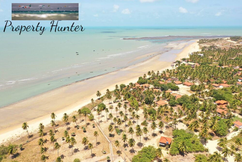 Terreno, 6300 m² - Foto 14