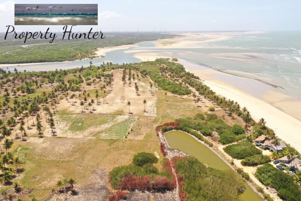 Terreno, 6300 m² - Foto 10