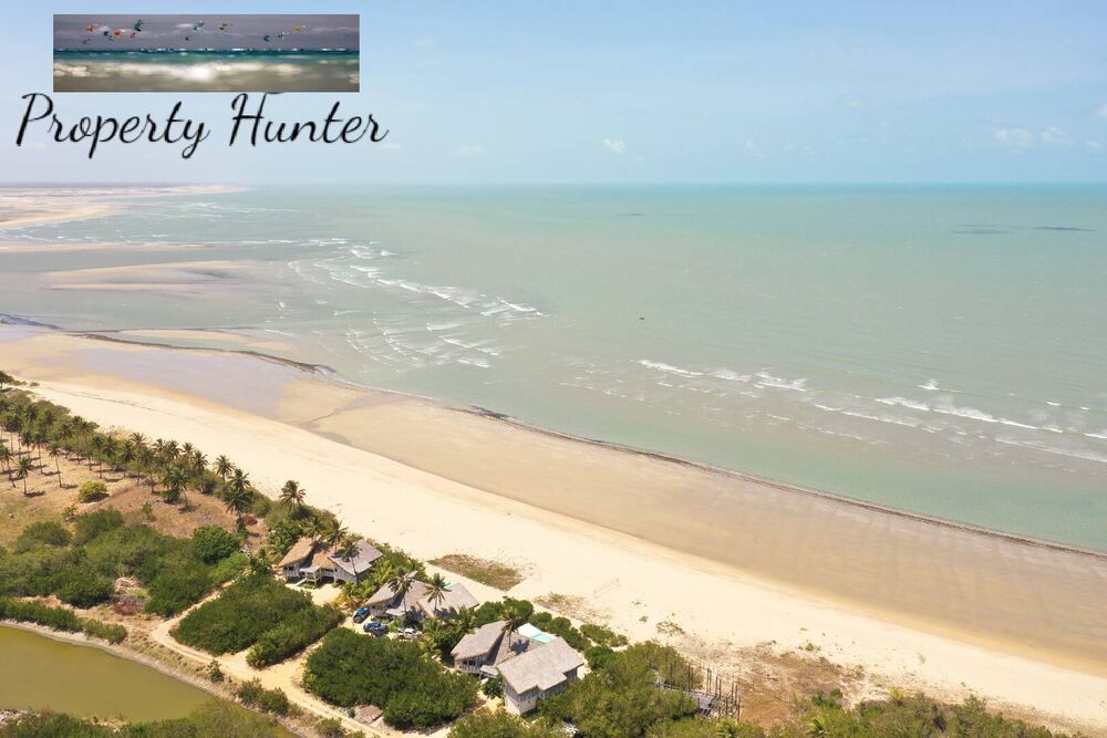 Terreno, 6300 m² - Foto 12