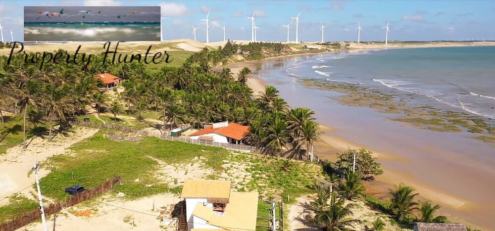 Terreno, 4800 m² - Foto 12