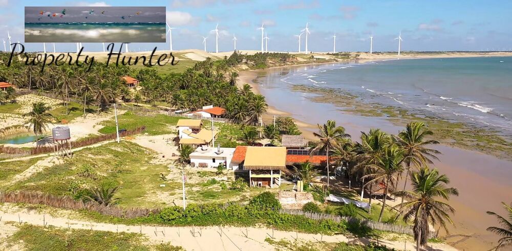 Terreno, 4800 m² - Foto 11