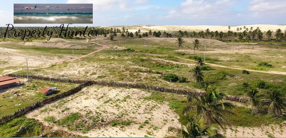 Terreno, 4800 m² - Foto 14