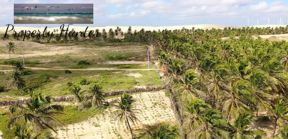 Terreno, 4800 m² - Foto 13