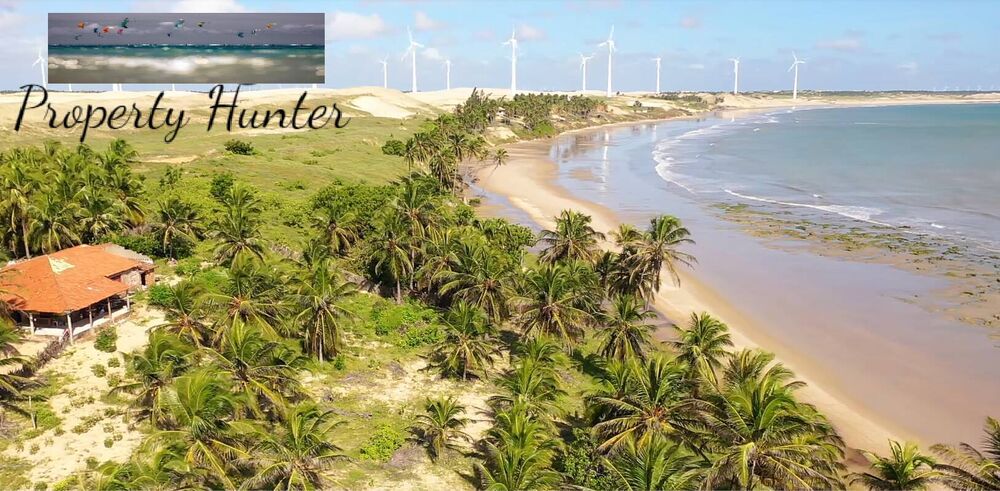 Terreno, 4800 m² - Foto 1