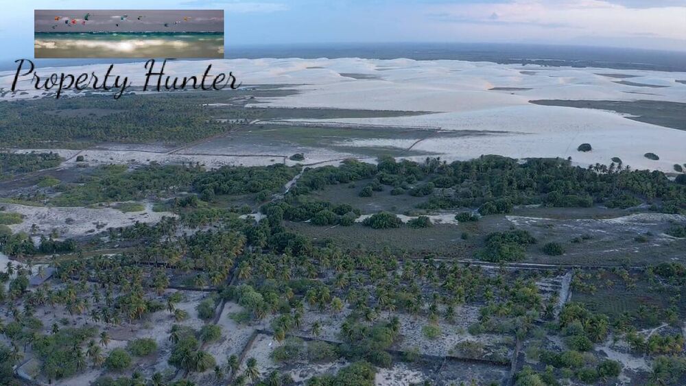 Terreno, 10000 m² - Foto 2