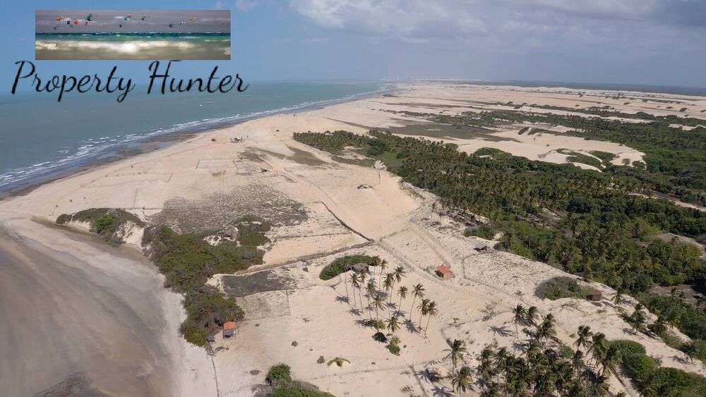 Terreno, 10000 m² - Foto 3