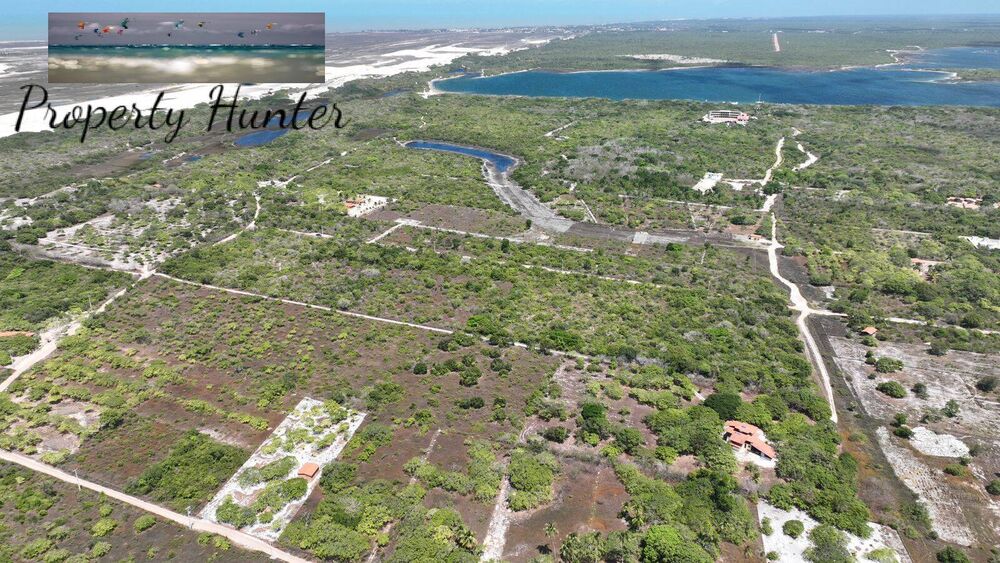 Terreno, 1000 m² - Foto 1
