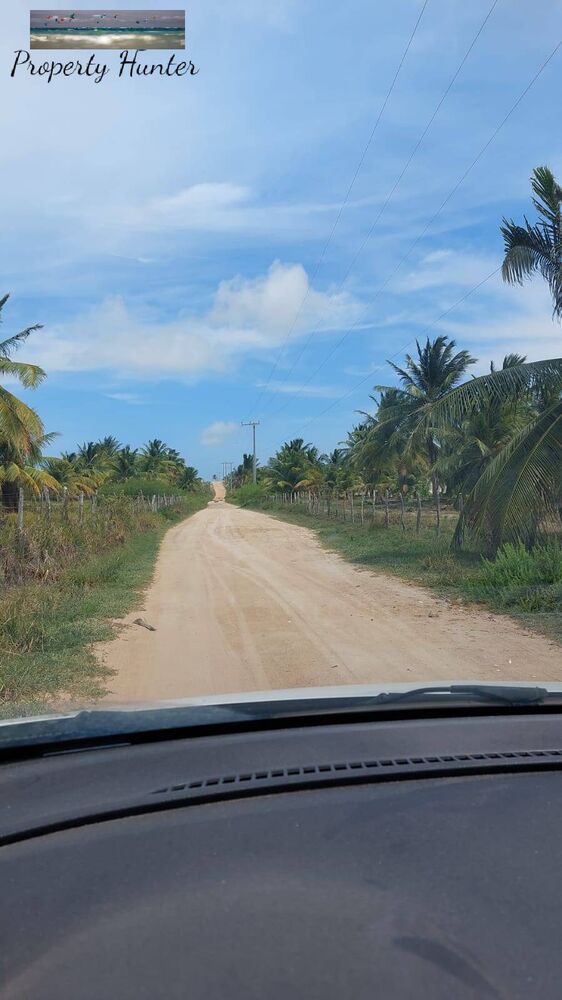 Terreno, 3500 m² - Foto 8