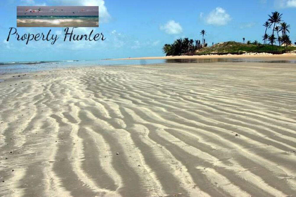 Terreno, 300 m² - Foto 3