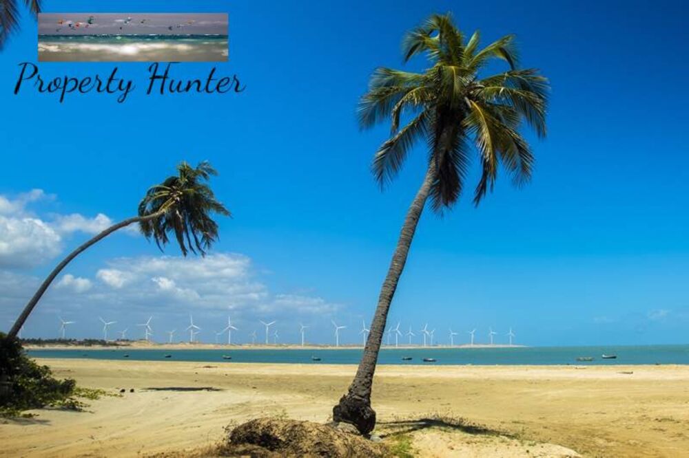 Terreno, 300 m² - Foto 4