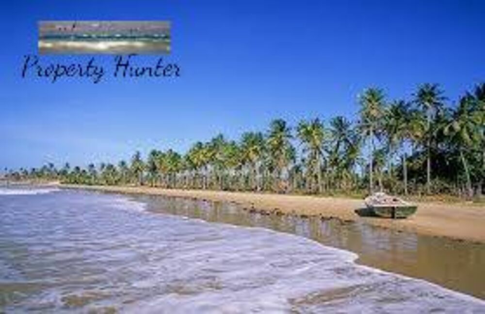 Terreno, 300 m² - Foto 5