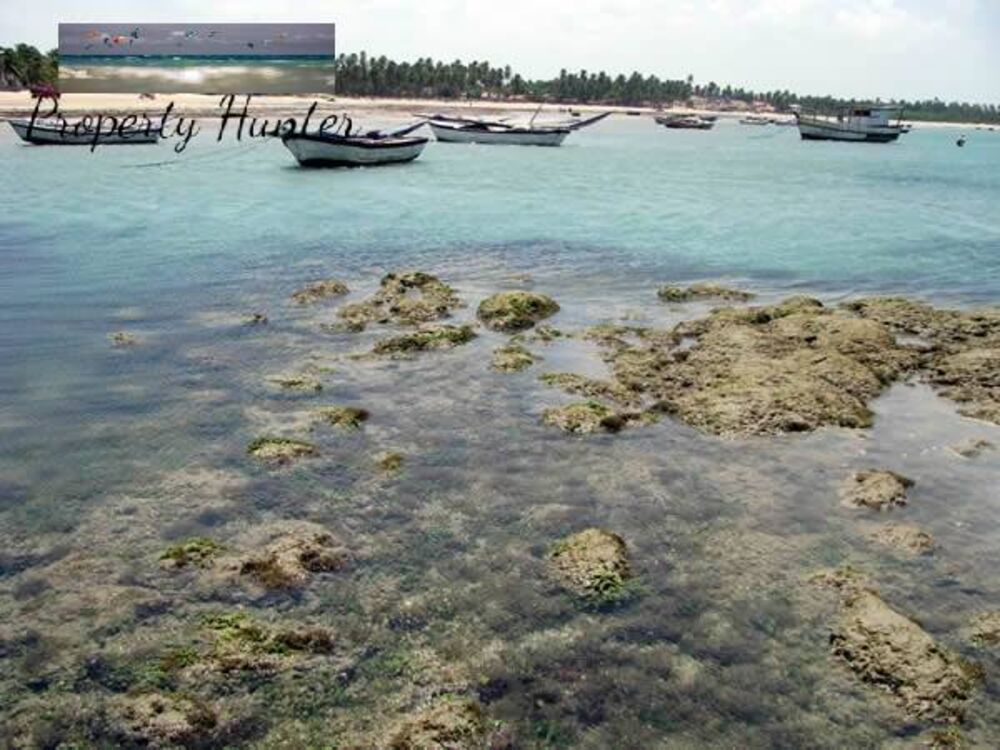 Terreno, 300 m² - Foto 1