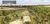 Terreno, 500 m² - Foto 3