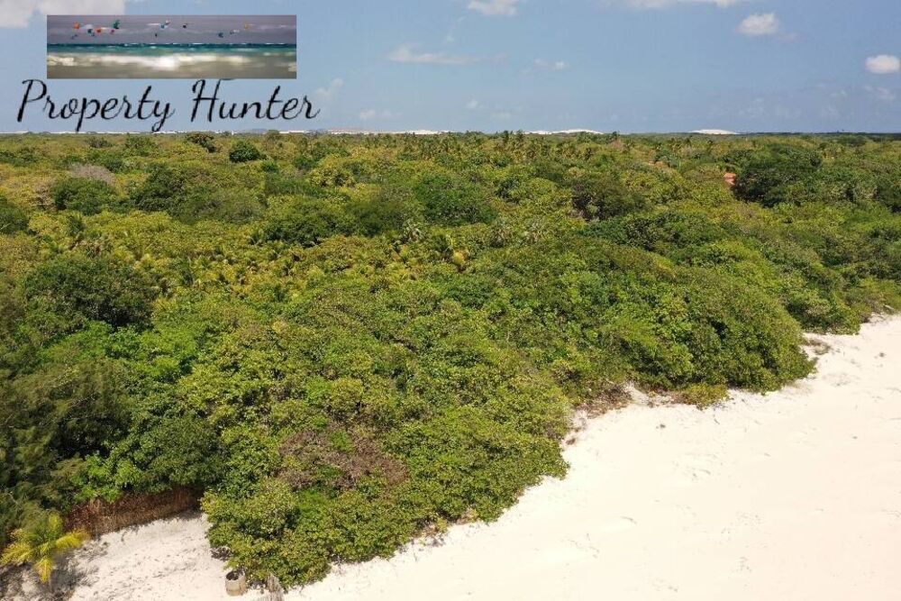 Terreno, 2850 m² - Foto 30