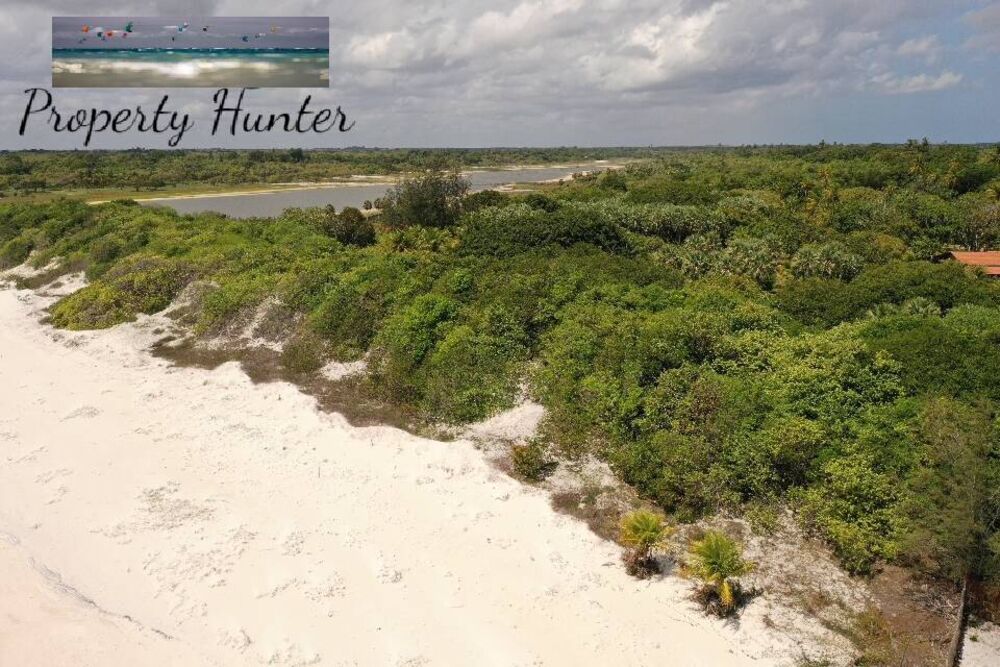 Terreno, 2850 m² - Foto 39