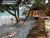 Terreno, 2850 m² - Foto 5