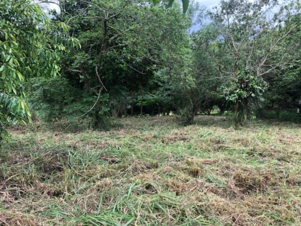 Terreno, 1000 m² - Foto 10