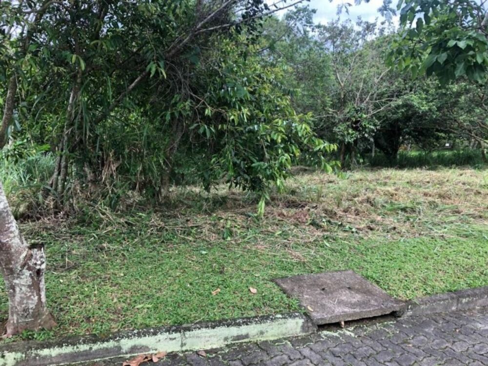 Terreno, 1000 m² - Foto 12