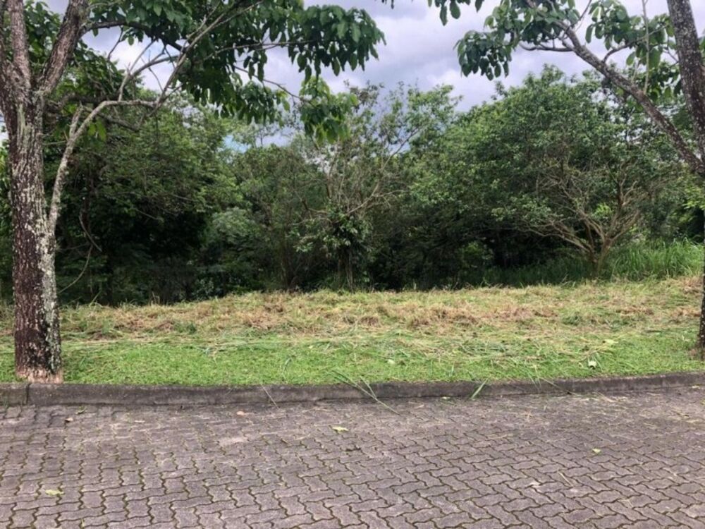 Terreno, 1000 m² - Foto 13