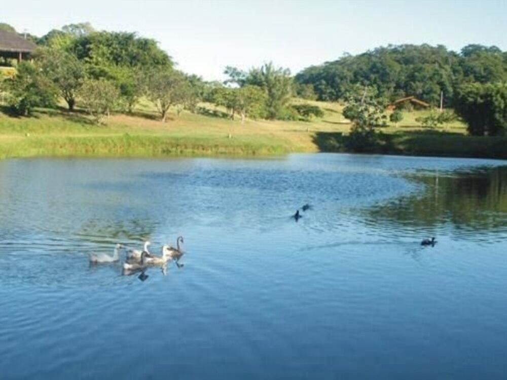 Terreno, 1000 m² - Foto 8