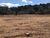 Loteamento e Condomínio, 1 hectares - Foto 4