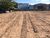 Loteamento e Condomínio, 1 hectares - Foto 2