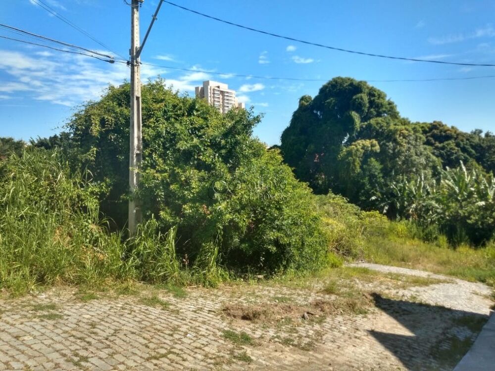 Terreno, 325 m² - Foto 4