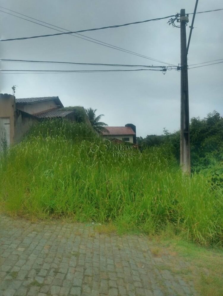 Terreno, 325 m² - Foto 5