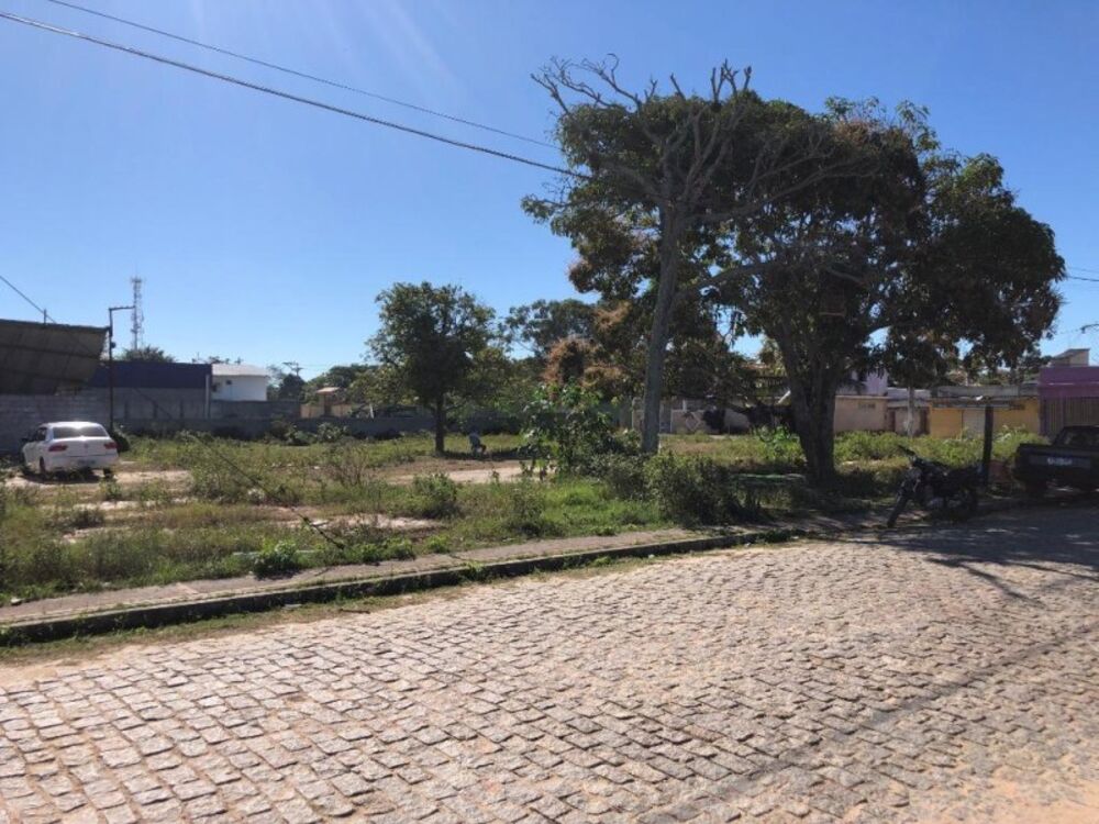 Terreno, 5000 m² - Foto 3